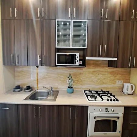 двокімнатна у центрі міста з двориком 利沃夫